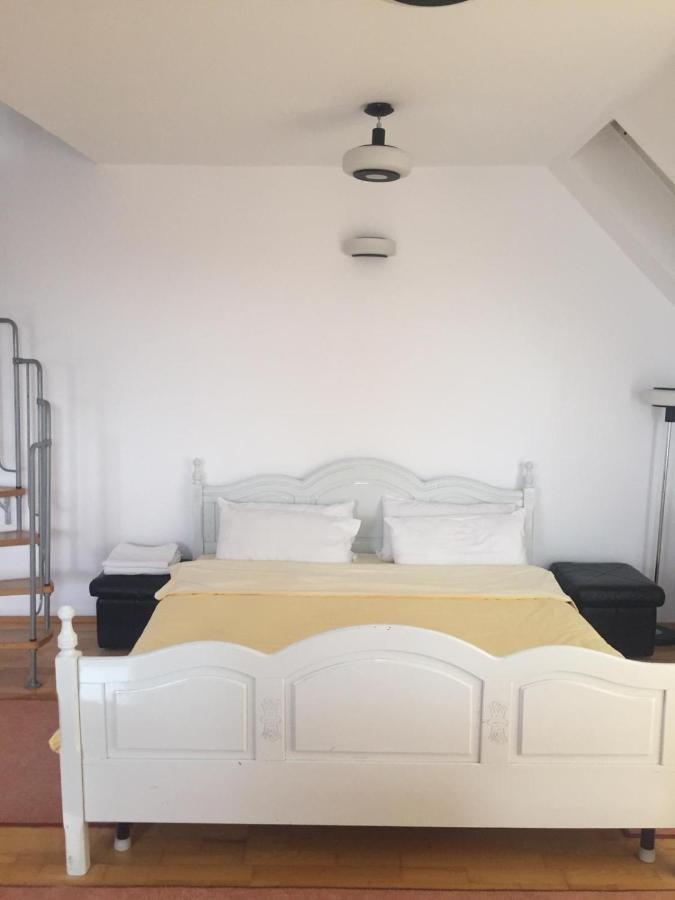 Casa Flavia Apartment Sancraiu de Mures Luaran gambar